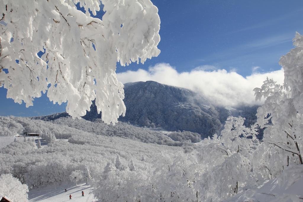 Forest Inn Sangoro Yamagata  Luaran gambar